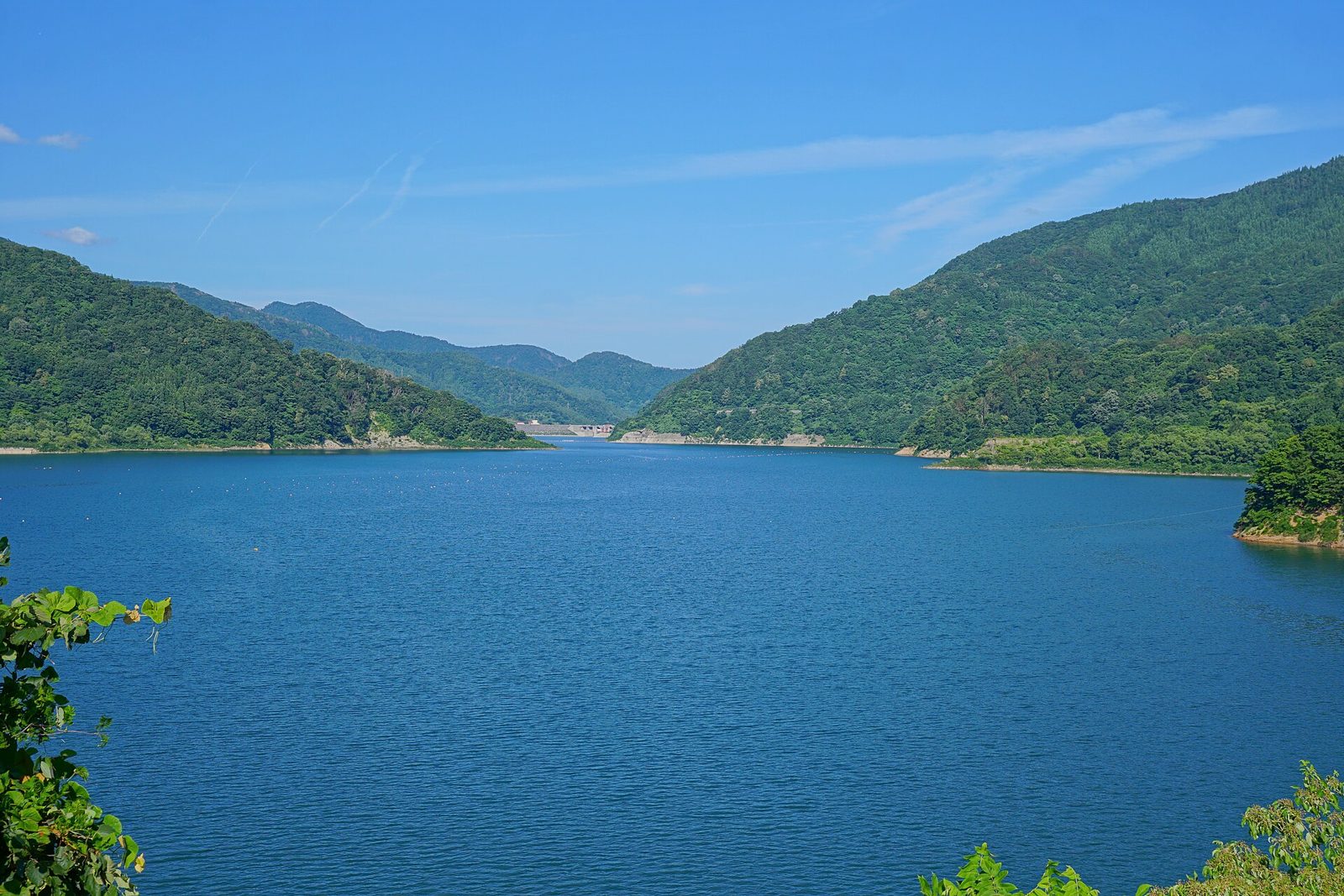 月山湖 (撮影: 掬茶, CC BY-SA 4.0)